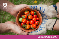 Food Insecurity and Lifestyle Change: DTTAC Advance Webinar On-Demand